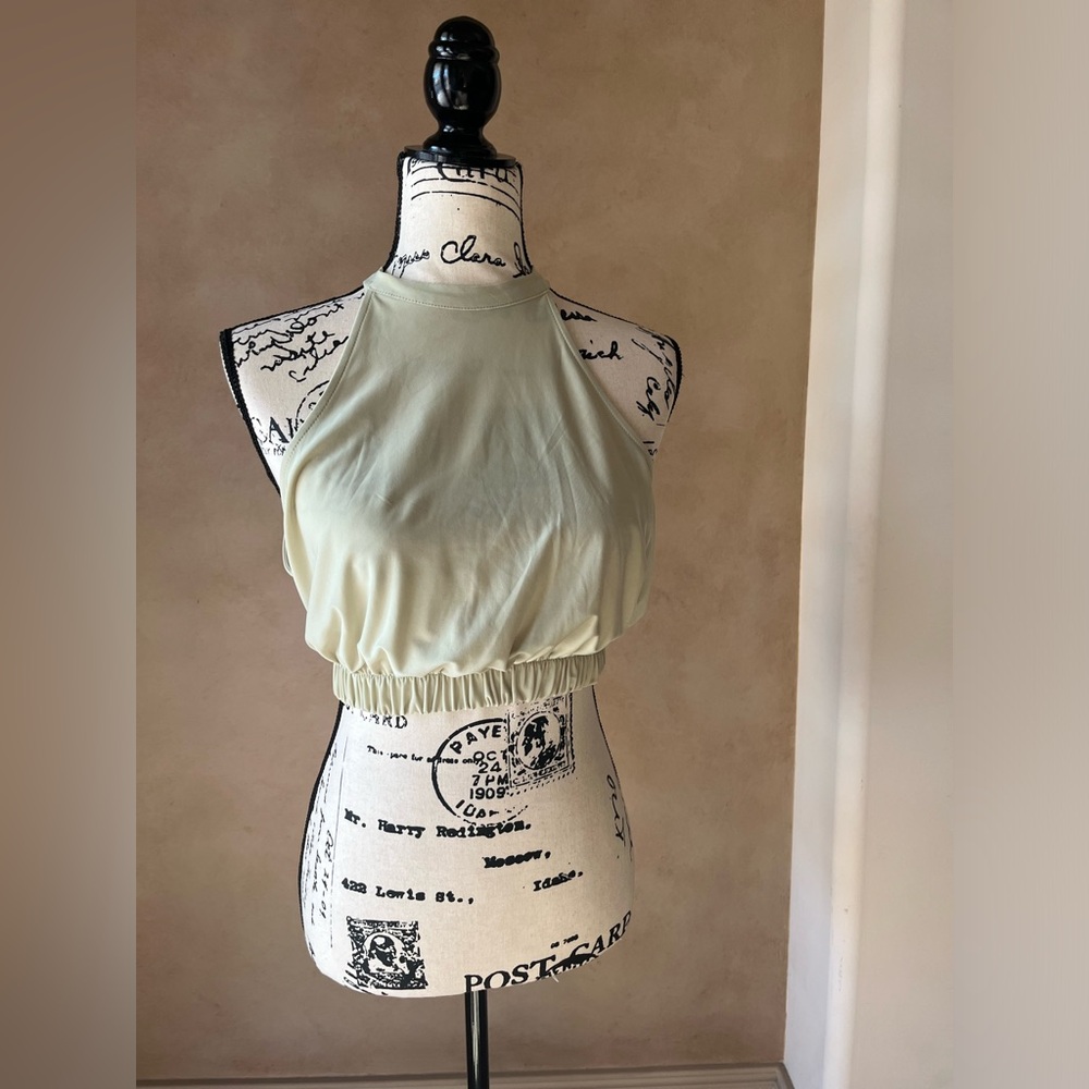 Zara Elegant Light Green Halter Top